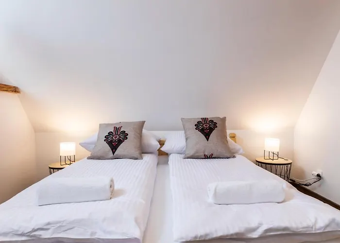 アパート Udanypobyt Krzeptowki Potok ザコパネ