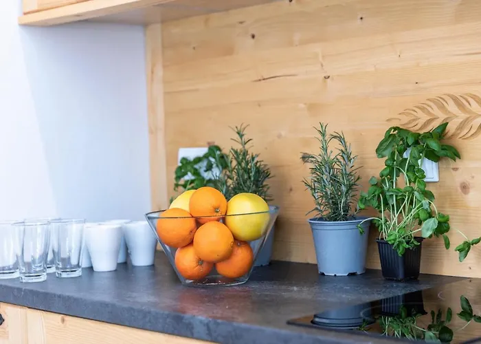 Udanypobyt Krzeptowki Potok * ザコパネ