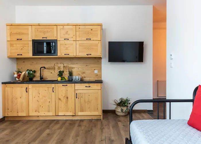 Udanypobyt Krzeptowki Potok アパート ザコパネ